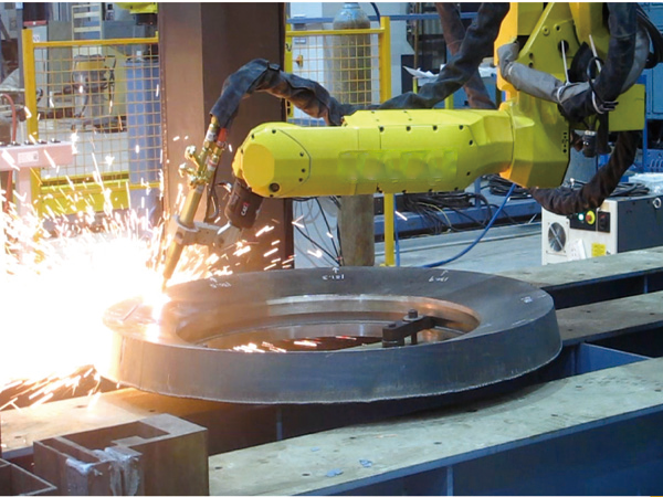 End-Tray Automatic Flame Cutting Robot System